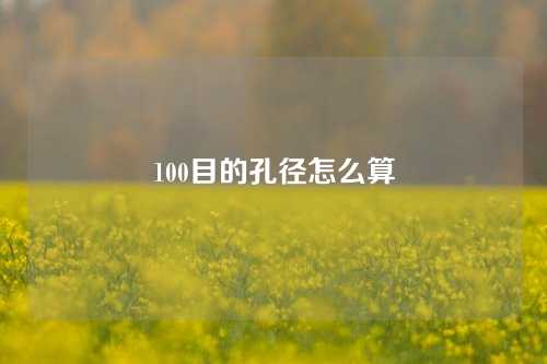 100目的孔径怎么算