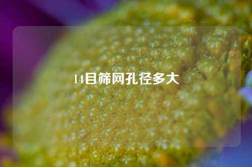 14目筛网孔径多大