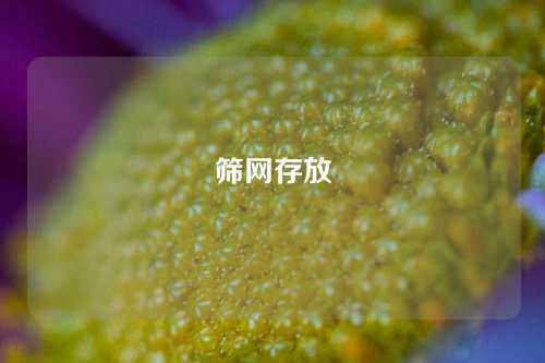 筛网存放