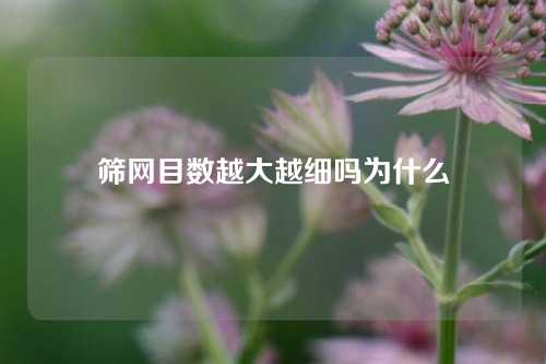 筛网目数越大越细吗为什么