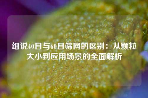 细说40目与60目筛网的区别：从颗粒大小到应用场景的全面解析