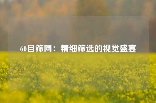 60目筛网：精细筛选的视觉盛宴
