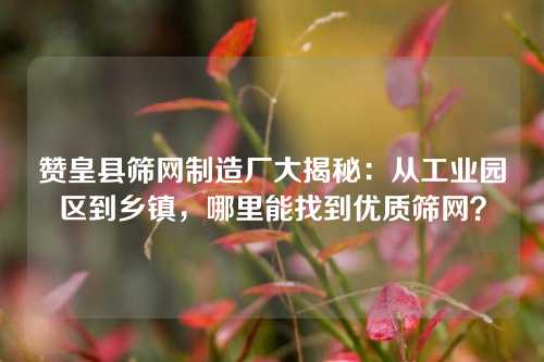 赞皇县筛网制造厂大揭秘:从工业园区到乡镇,哪里能找到优质筛网?