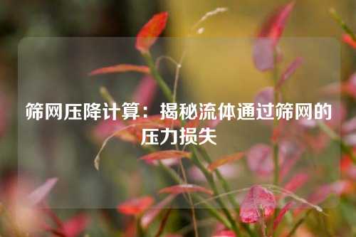 筛网压降计算：揭秘流体通过筛网的压力损失