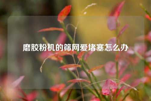 磨胶粉机的筛网爱堵塞怎么办