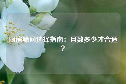 厨房筛网选择指南：目数多少才合适？