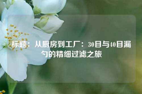 标题:从厨房到工厂:30目与40目漏勺的精细过滤之旅
