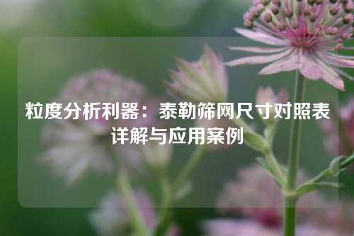 粒度分析利器：泰勒筛网尺寸对照表详解与应用案例