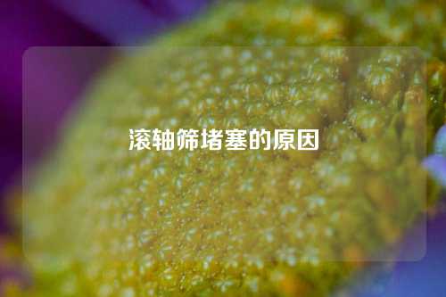 滚轴筛堵塞的原因