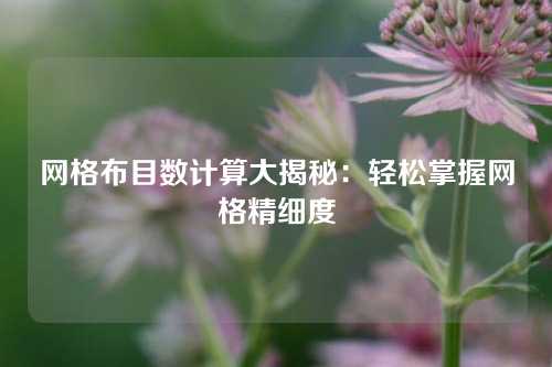网格布目数计算大揭秘：轻松掌握网格精细度