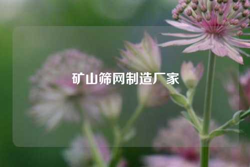 矿山筛网制造厂家