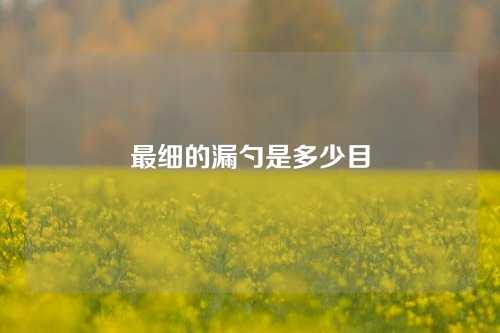 最细的漏勺是多少目