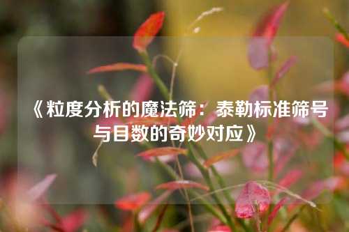 《粒度分析的魔法筛：泰勒标准筛号与目数的奇妙对应》