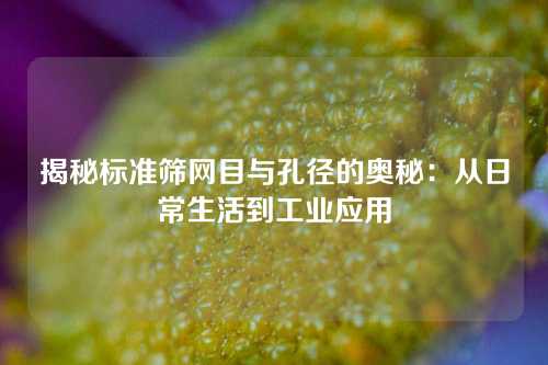揭秘标准筛网目与孔径的奥秘：从日常生活到工业应用