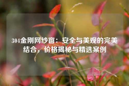 304金刚网纱窗：安全与美观的完美结合，价格揭秘与精选案例