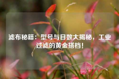 滤布秘籍：型号与目数大揭秘，工业过滤的黄金搭档！