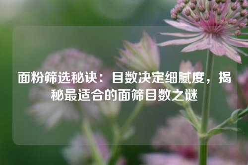 面粉筛选秘诀：目数决定细腻度，揭秘最适合的面筛目数之谜