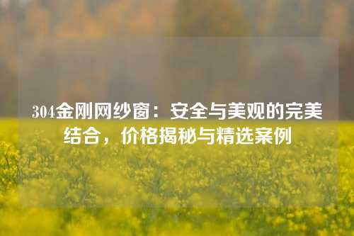 304金刚网纱窗：安全与美观的完美结合，价格揭秘与精选案例