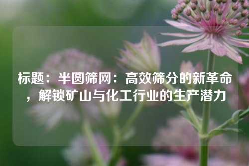 标题：半圆筛网：高效筛分的新革命，解锁矿山与化工行业的生产潜力