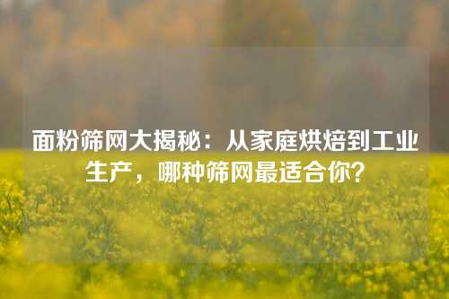 面粉筛网大揭秘:从家庭烘焙到工业生产,哪种筛网最适合你?