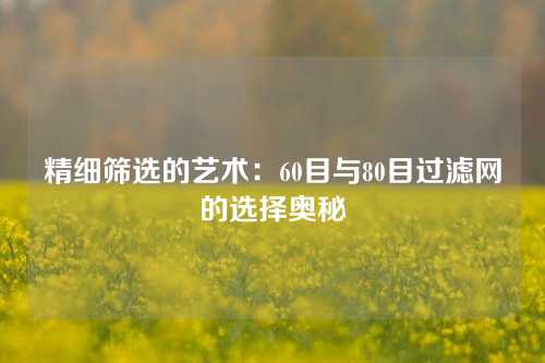 精细筛选的艺术：60目与80目过滤网的选择奥秘