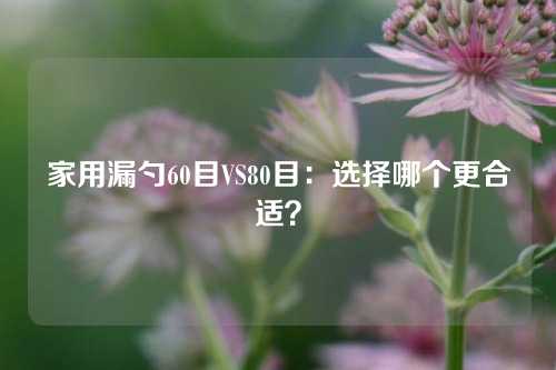 家用漏勺60目VS80目：选择哪个更合适？