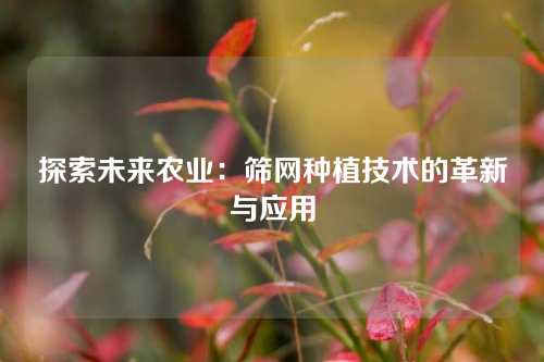 探索未来农业：筛网种植技术的革新与应用