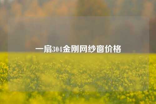 一扇304金刚网纱窗价格