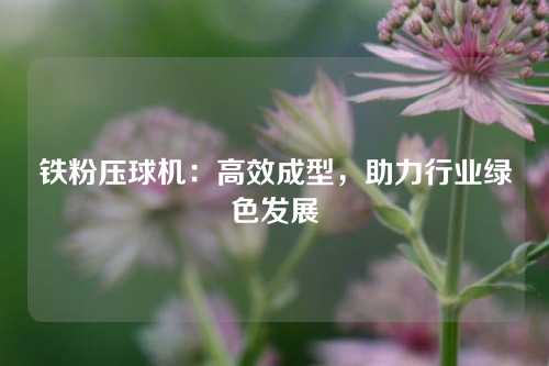 铁粉压球机：高效成型，助力行业绿色发展
