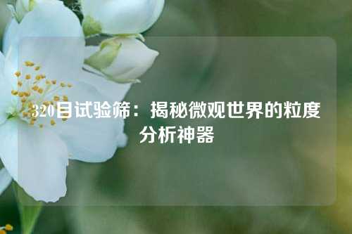 320目试验筛：揭秘微观世界的粒度分析神器