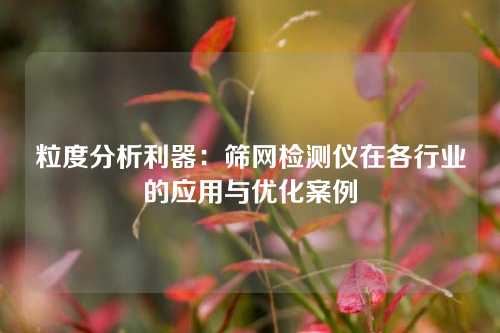 粒度分析利器：筛网检测仪在各行业的应用与优化案例