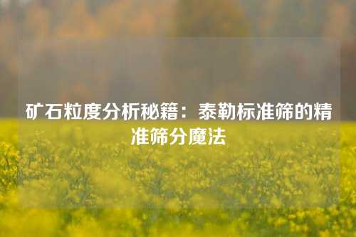 矿石粒度分析秘籍：泰勒标准筛的精准筛分魔法