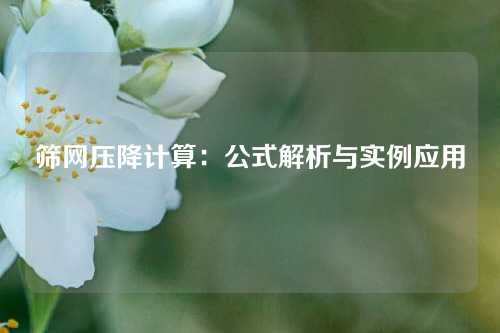 筛网压降计算：公式解析与实例应用