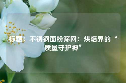 标题：不锈钢面粉筛网：烘焙界的“质量守护神”