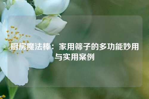 厨房魔法棒：家用筛子的多功能妙用与实用案例