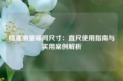精准测量筛网尺寸:直尺使用指南与实用案例解析