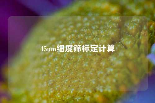 45um细度筛标定计算