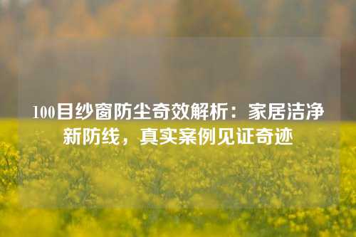 100目纱窗防尘奇效解析：家居洁净新防线，真实案例见证奇迹