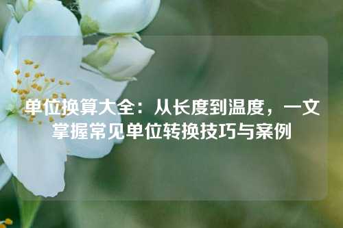 单位换算大全:从长度到温度,一文掌握常见单位转换技巧与案例