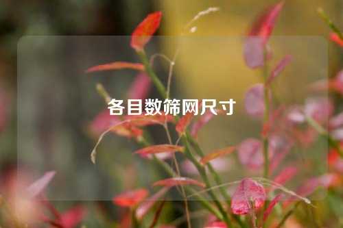 各目数筛网尺寸