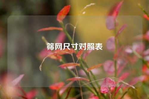 筛网尺寸对照表