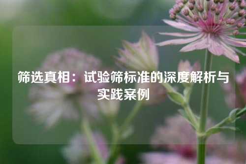 筛选真相：试验筛标准的深度解析与实践案例