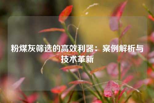 粉煤灰筛选的高效利器：案例解析与技术革新
