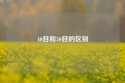 40目和50目的区别