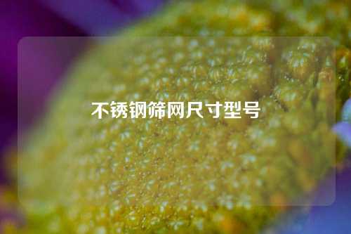 不锈钢筛网尺寸型号