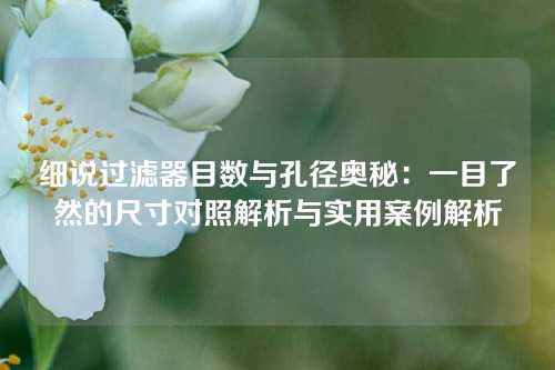 细说过滤器目数与孔径奥秘：一目了然的尺寸对照解析与实用案例解析