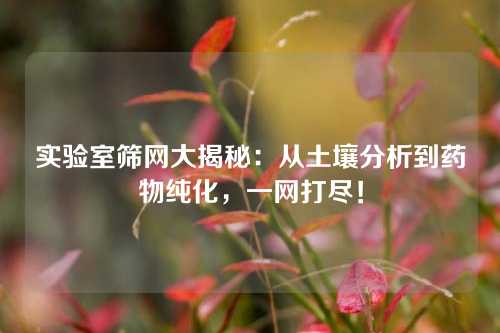 实验室筛网大揭秘:从土壤分析到药物纯化,一网打尽!
