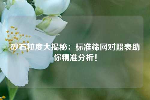 砂石粒度大揭秘：标准筛网对照表助你精准分析！