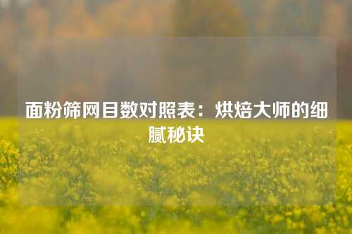 面粉筛网目数对照表：烘焙大师的细腻秘诀