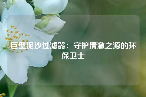 巨型泥沙过滤器：守护清澈之源的环保卫士